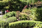 40 - Butchard Gardens  - IMG_1623